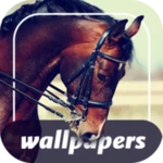 horse wallpapers android application logo